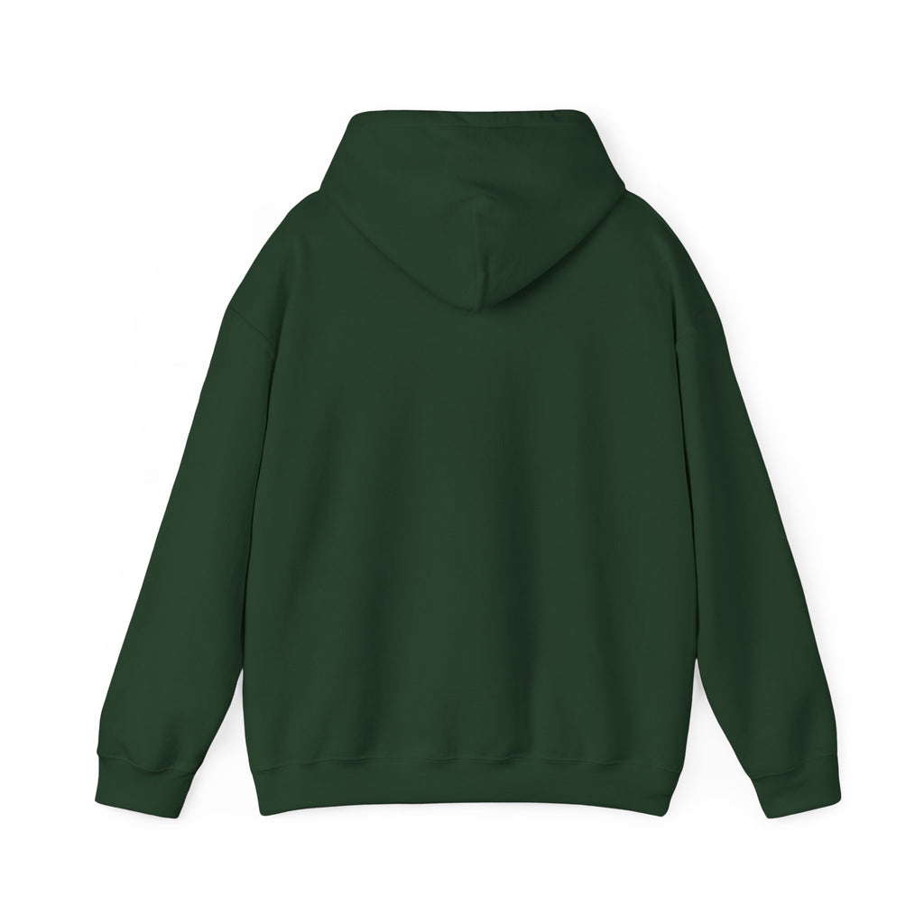 Do Not Worry About Tomorrow Hoodie | Matthew 6:34 Christian Sweatshirt