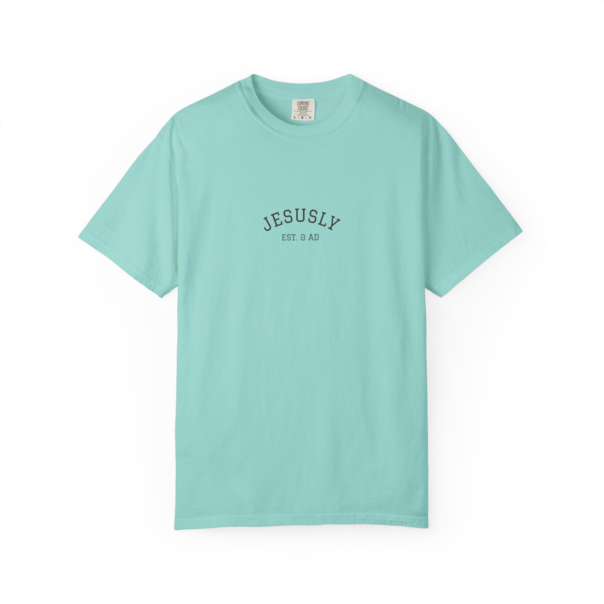 His Mercies Are New Every Morning Back Print Tee | Comfort Colors Christian Shirt