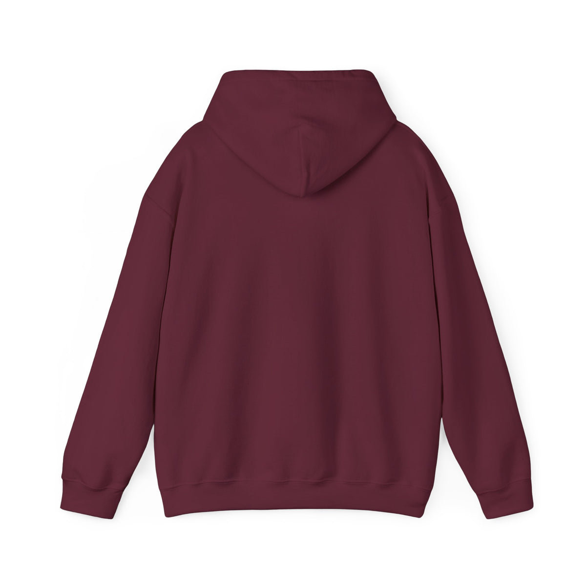 Do Not Worry About Tomorrow Hoodie | Matthew 6:34 Christian Sweatshirt