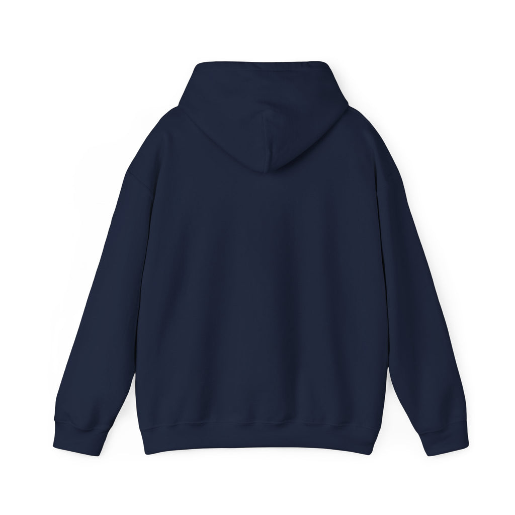 Do Not Worry About Tomorrow Hoodie | Matthew 6:34 Christian Sweatshirt