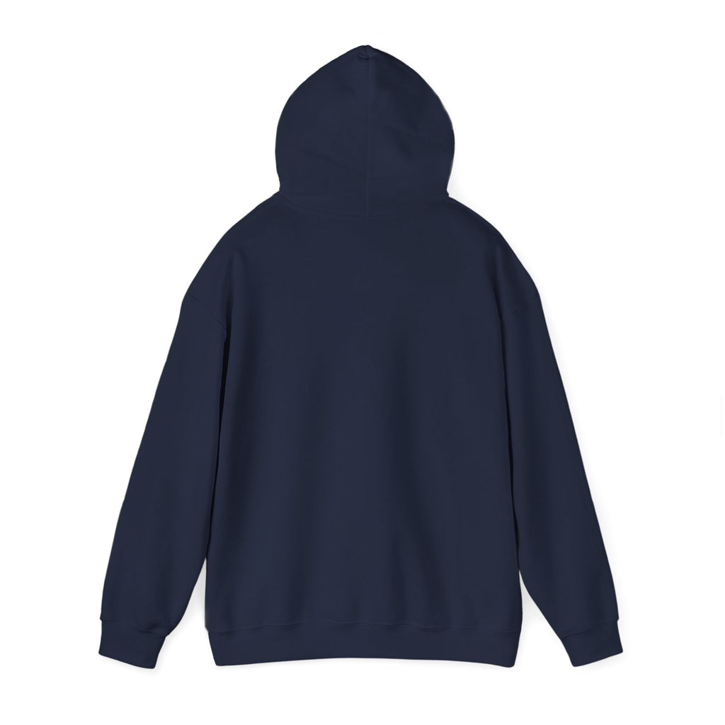 Do Not Worry About Tomorrow Hoodie | Matthew 6:34 Christian Sweatshirt