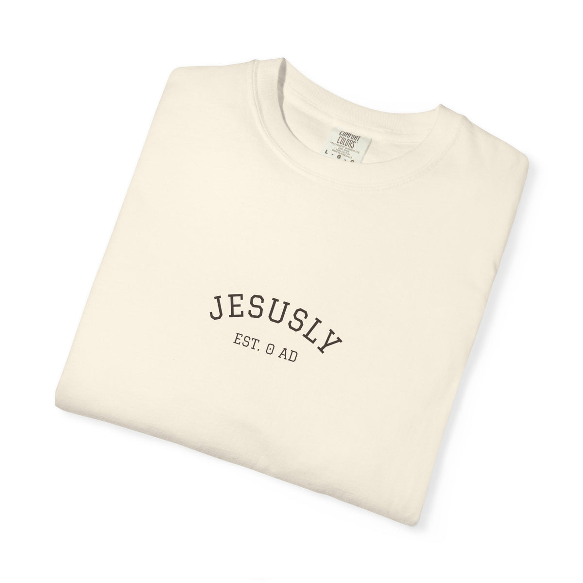 His Mercies Are New Every Morning Back Print Tee | Comfort Colors Christian Shirt