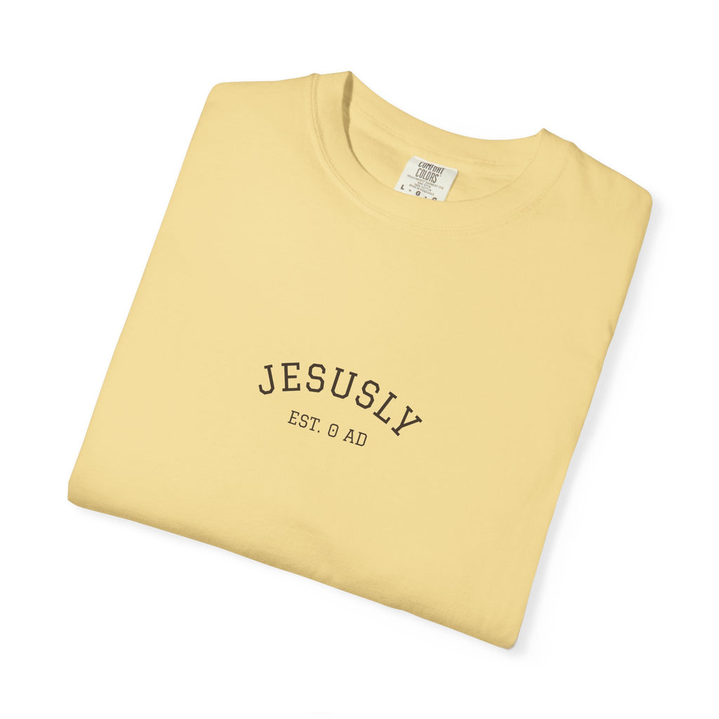 His Mercies Are New Every Morning Back Print Tee | Comfort Colors Christian Shirt