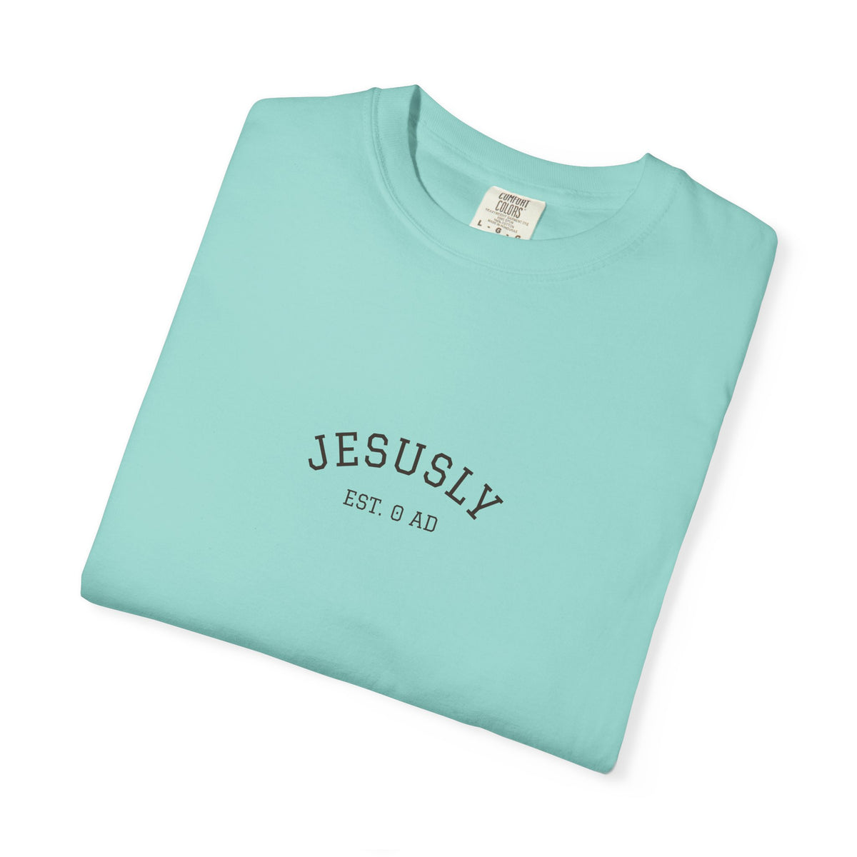 His Mercies Are New Every Morning Back Print Tee | Comfort Colors Christian Shirt