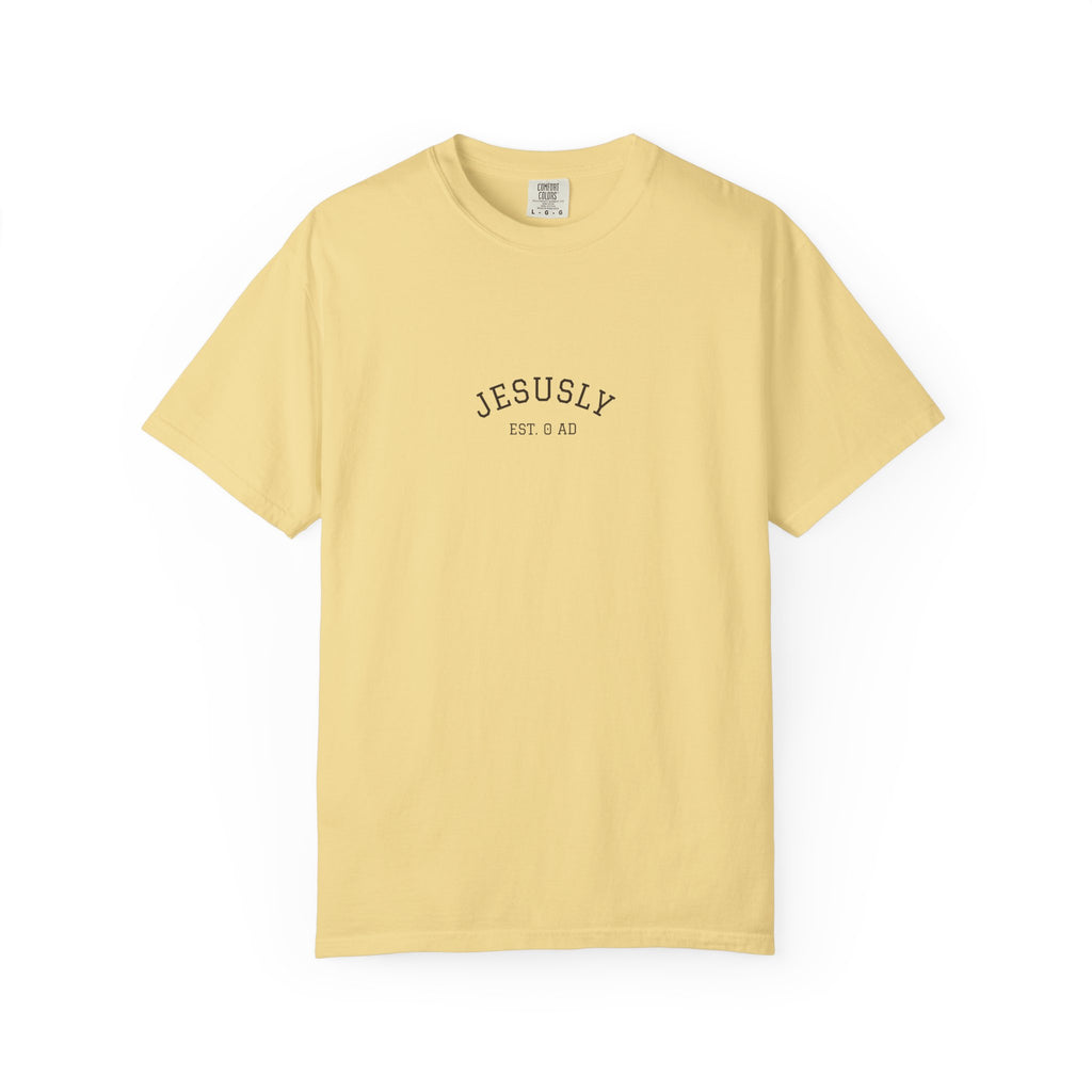 His Mercies Are New Every Morning Back Print Tee | Comfort Colors Christian Shirt